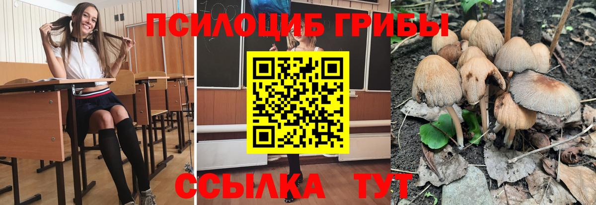 Псилоцибиновые грибы прущие грибы Долгопрудный