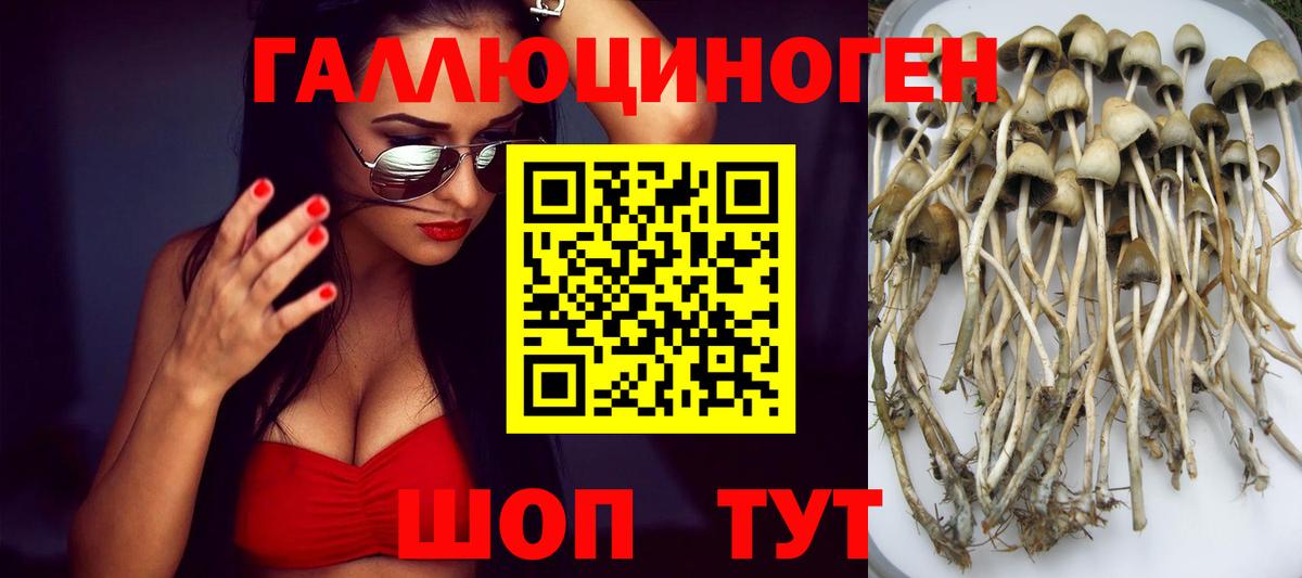 Долгопрудный  Псилоцибиновые грибы ЛСД  купить наркотик  Вход с VPN 